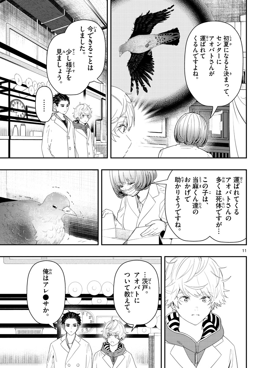 ラストカルテ-法獣医学者 当麻健匠の記憶- 第38話 - Page 11