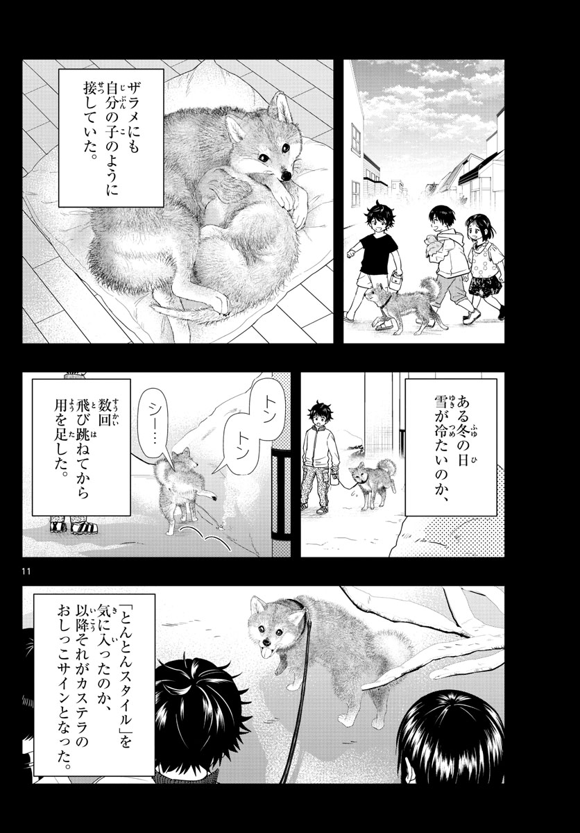 ラストカルテ-法獣医学者 当麻健匠の記憶- 第23話 - Page 11