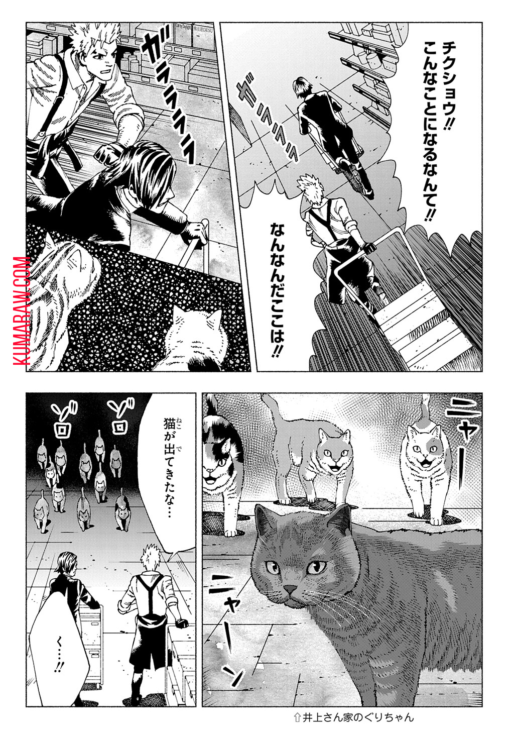 ニャイト・オブ・ザ・リビングキャット 第8.2話 - Page 24