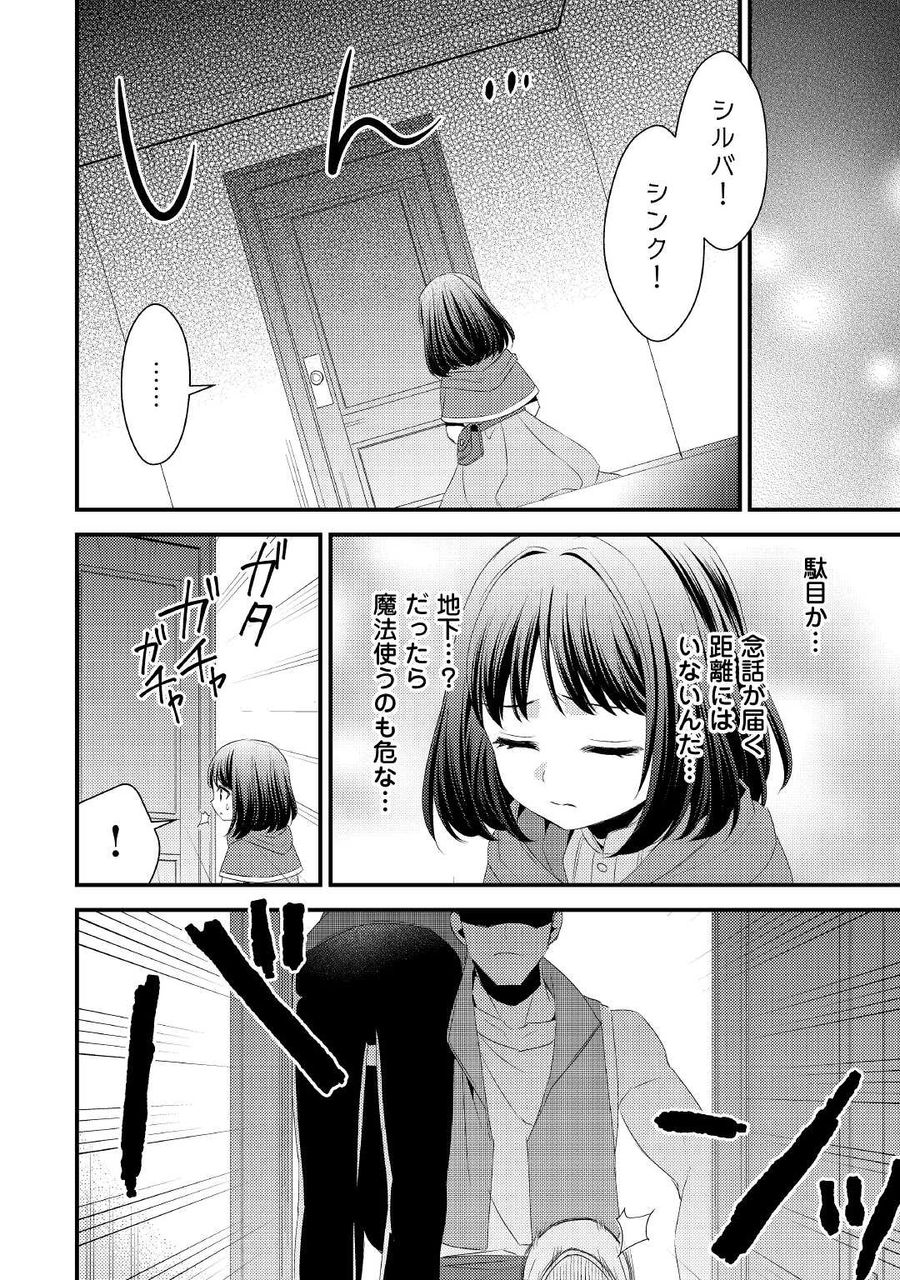 ほっといて下さい　―従魔とチートライフ楽しみたい！― 第17話 - Page 14