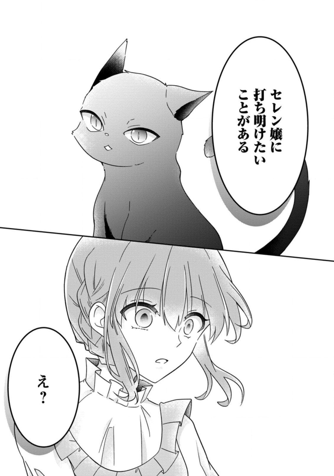 地味姫と黒猫の、円満な婚約破棄 第15.3話 - Page 7