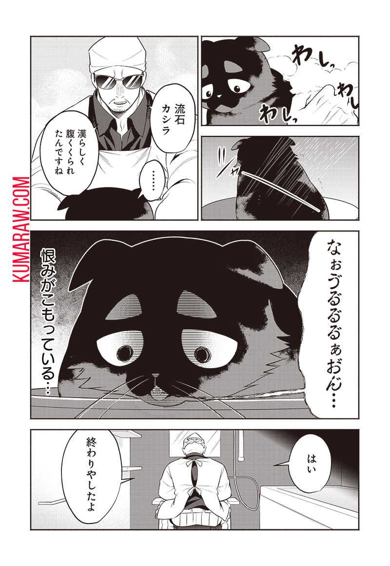 猫が如く 第24話 - Page 4