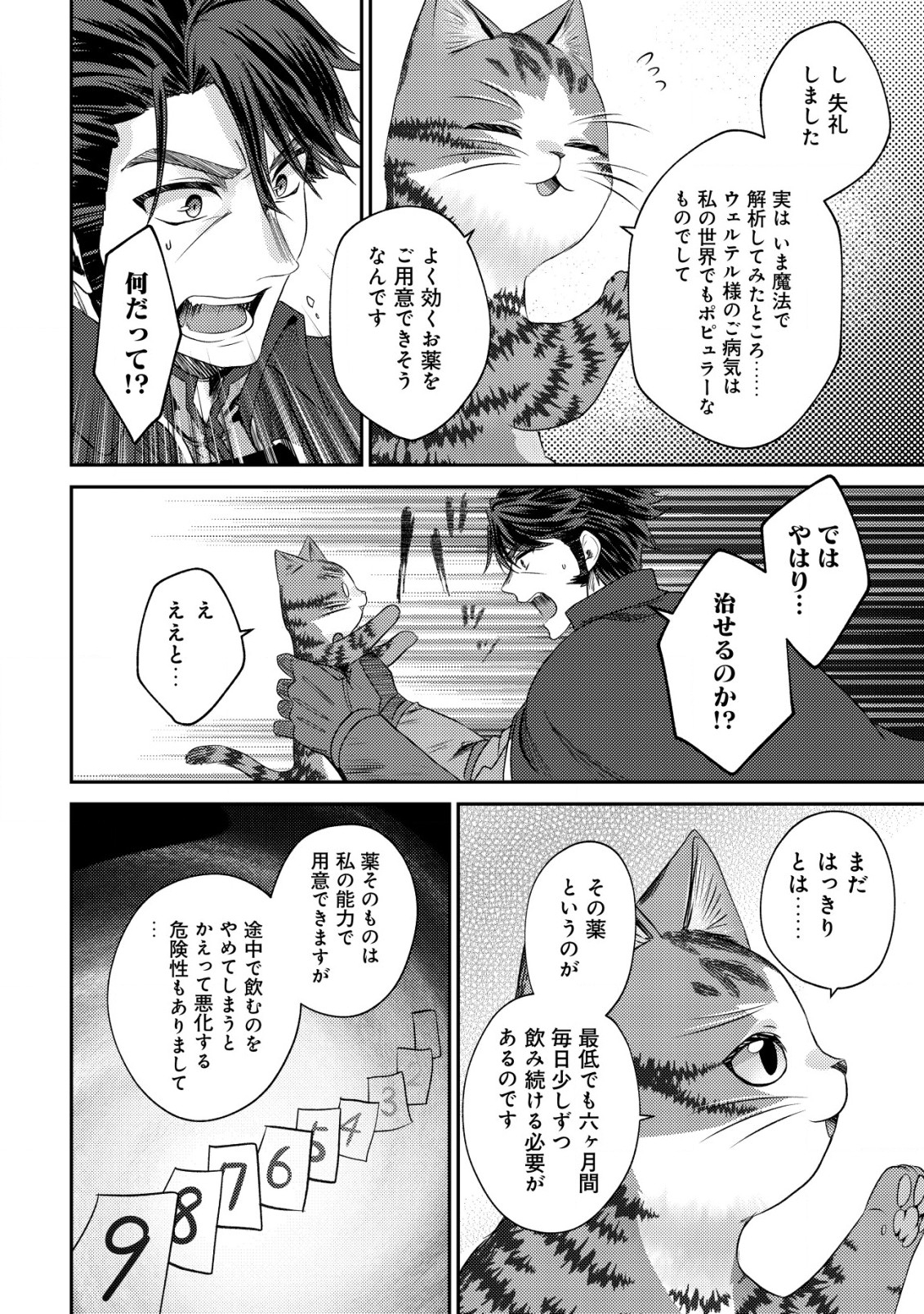 我輩は猫魔導師である～キジトラ・ルークの快適チート猫生活～ 第15話 - Page 28