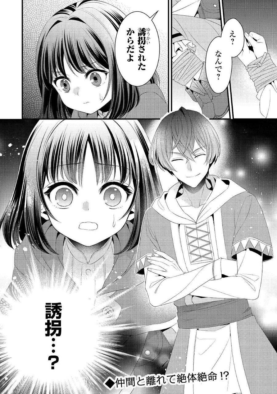 ほっといて下さい　―従魔とチートライフ楽しみたい！― 第16話 - Page 22