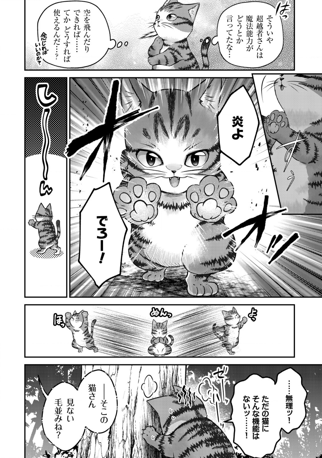 我輩は猫魔導師である～キジトラ・ルークの快適チート猫生活～ 第1話 - Page 16