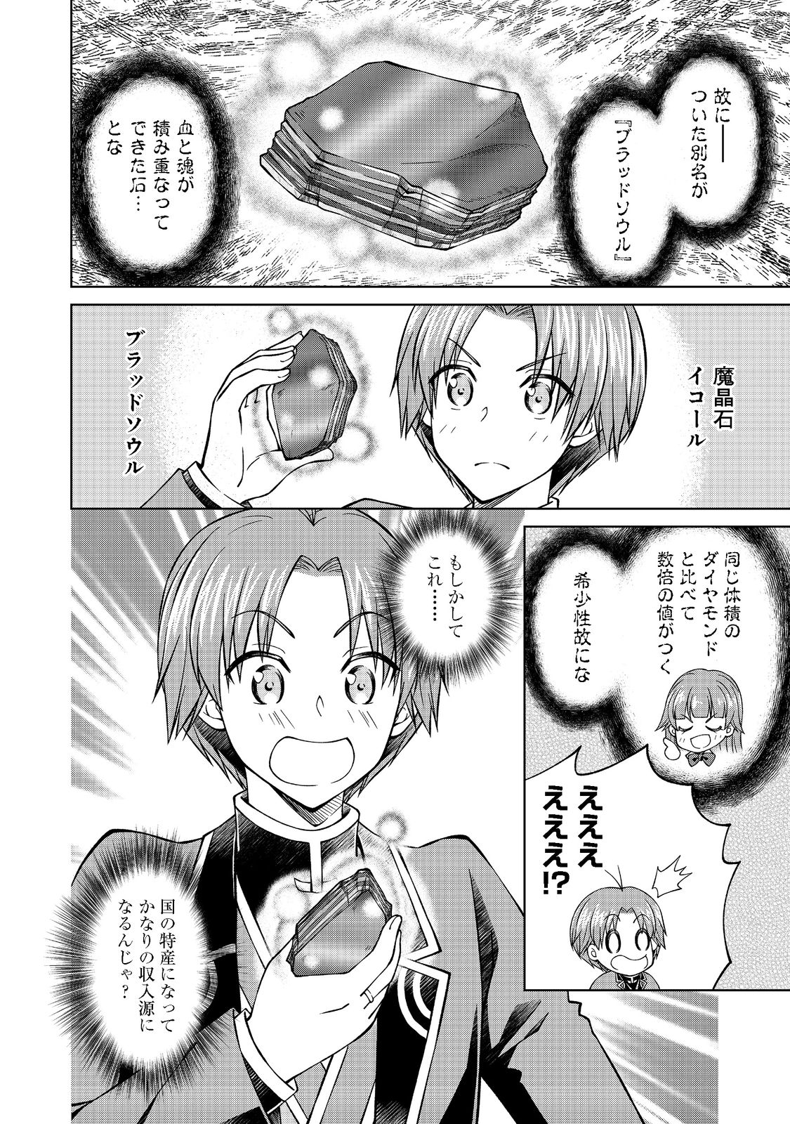 没落予定の貴族だけど、暇だったから魔法を極めてみた 第28.1話 - Page 17