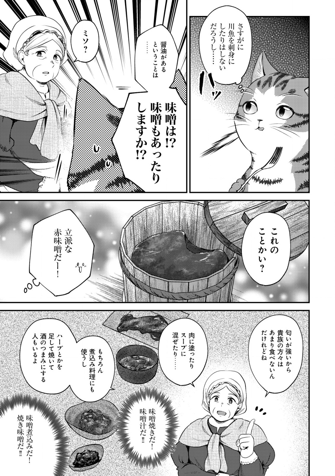 我輩は猫魔導師である～キジトラ・ルークの快適チート猫生活～ 第8.1話 - Page 11