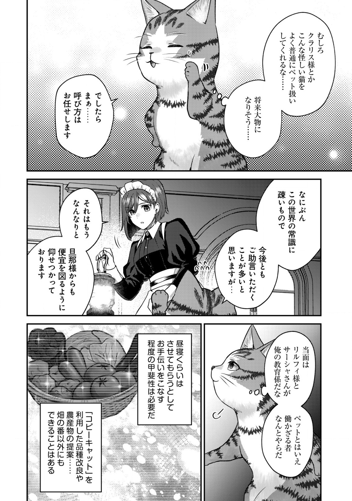 我輩は猫魔導師である～キジトラ・ルークの快適チート猫生活～ 第7.2話 - Page 12