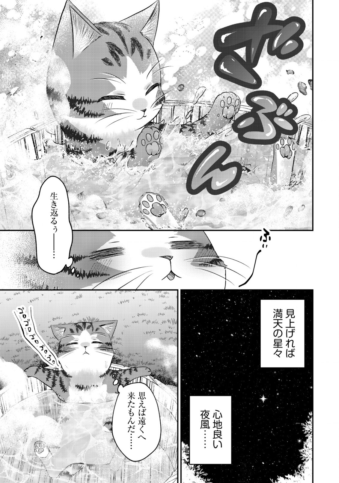 我輩は猫魔導師である～キジトラ・ルークの快適チート猫生活～ 第8.2話 - Page 5