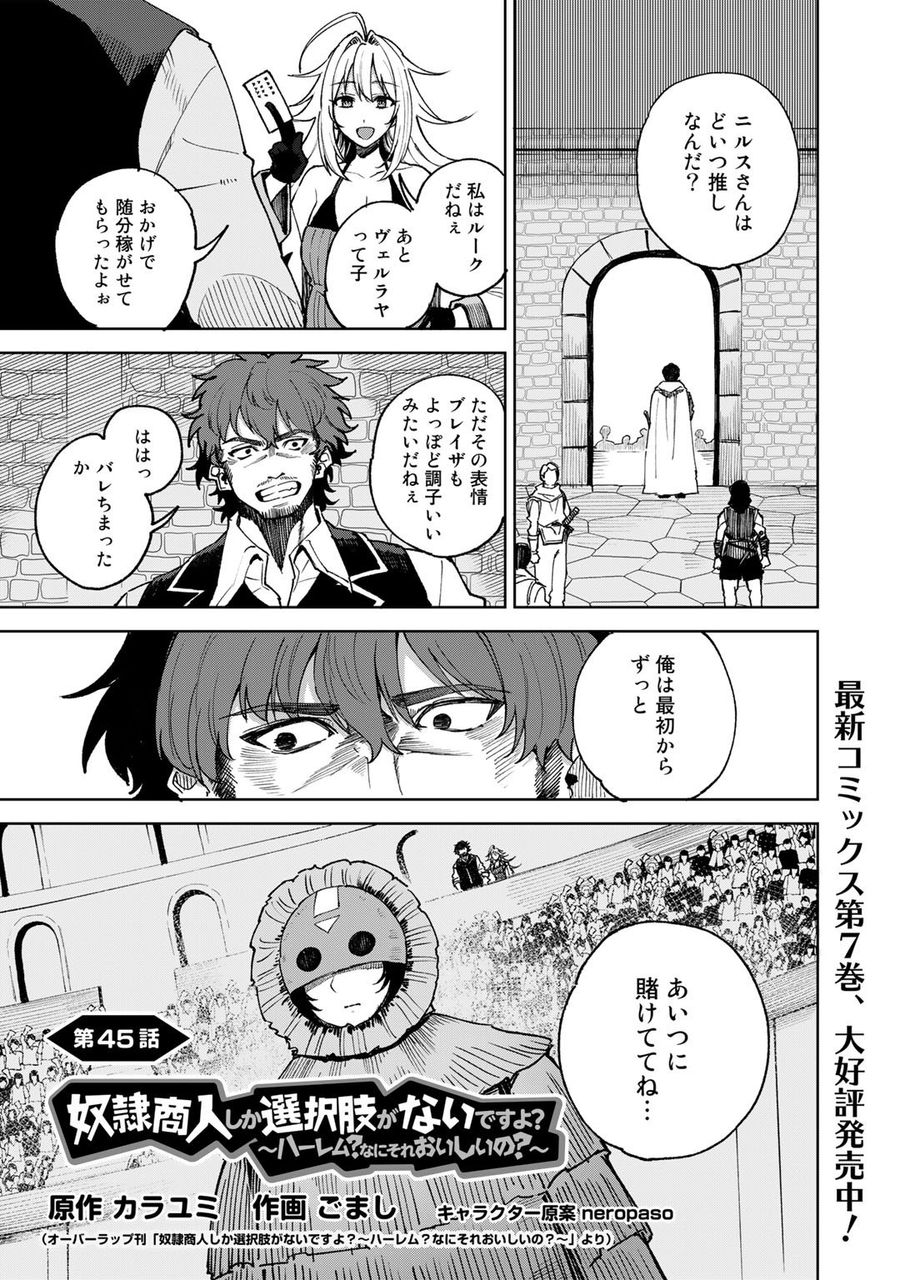 奴隷商人しか選択肢がないですよ?～ハーレム?なにそれおいしいの?～ 第45話 - Page 1