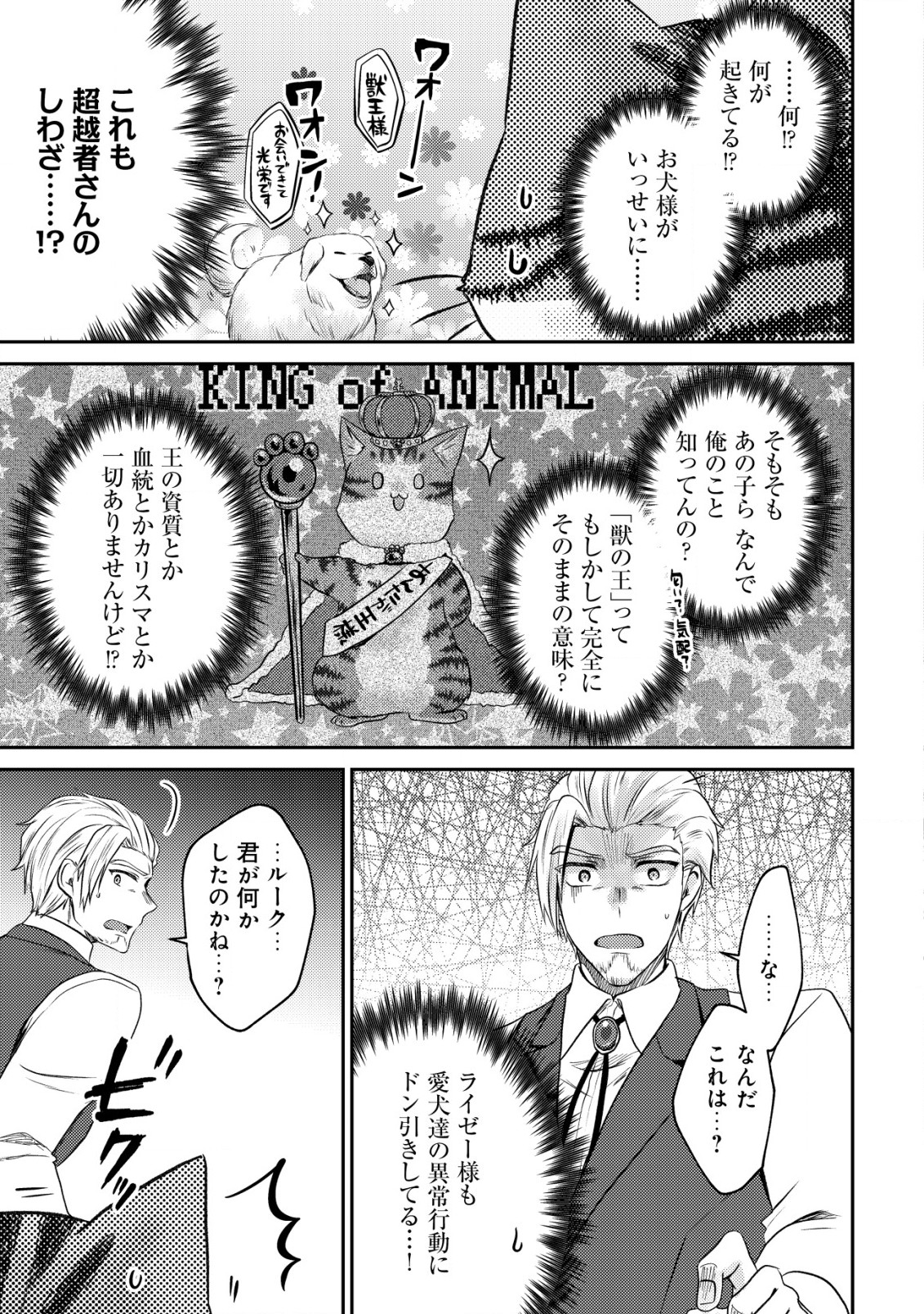 我輩は猫魔導師である～キジトラ・ルークの快適チート猫生活～ 第6話 - Page 19