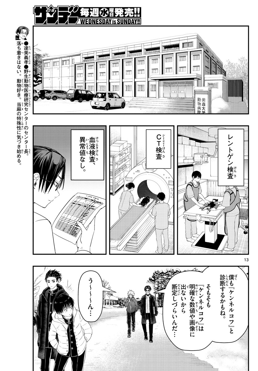 ラストカルテ-法獣医学者 当麻健匠の記憶- 第24話 - Page 13