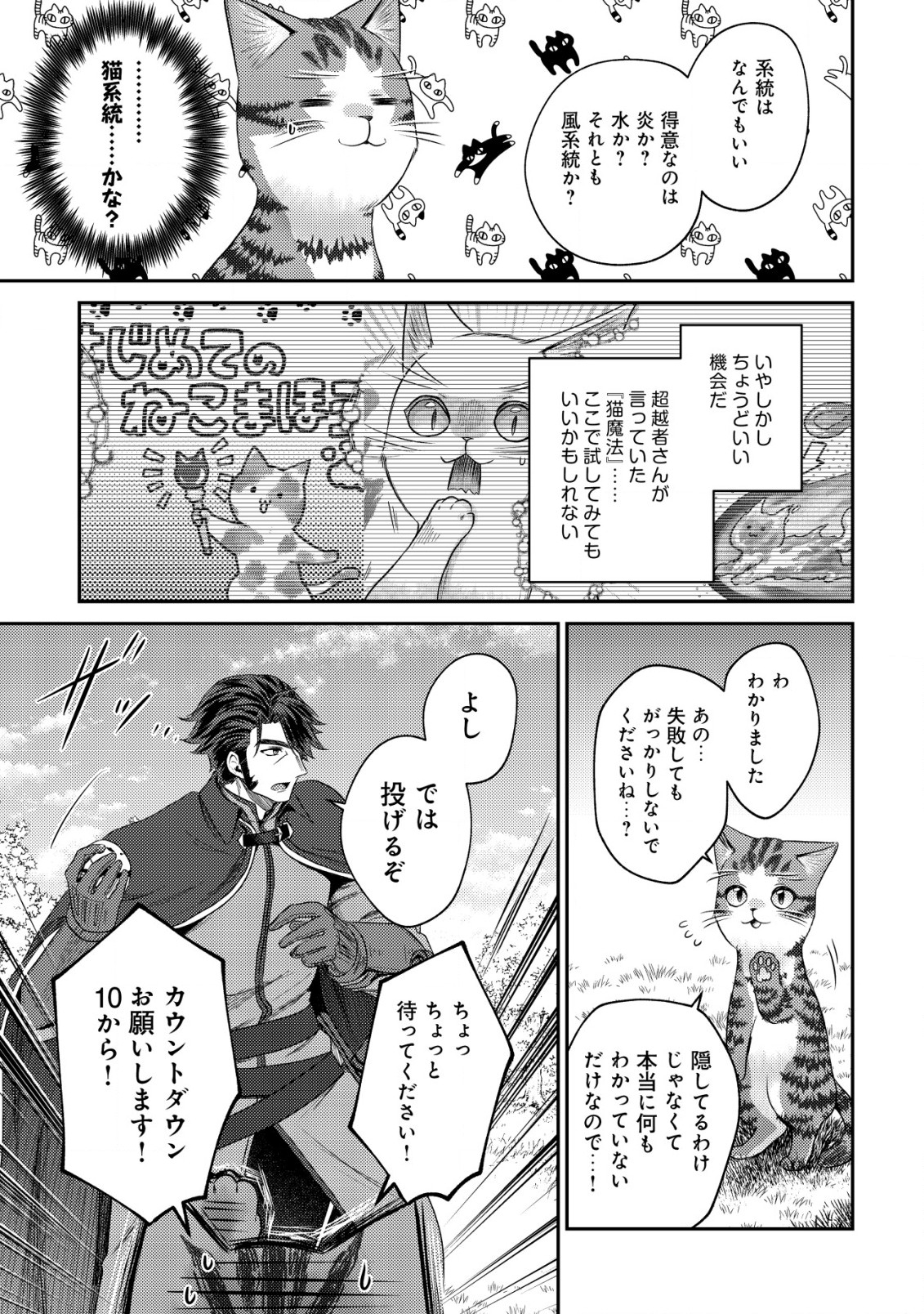 我輩は猫魔導師である～キジトラ・ルークの快適チート猫生活～ 第14.1話 - Page 9