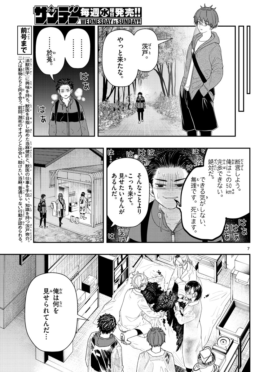 ラストカルテ-法獣医学者 当麻健匠の記憶- 第41話 - Page 7