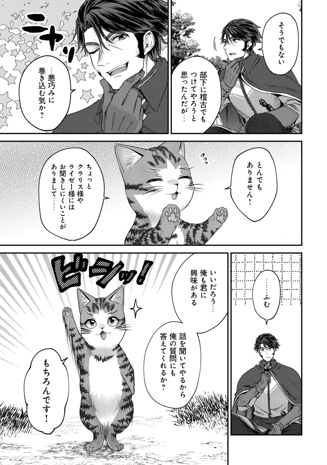 我輩は猫魔導師である～キジトラ・ルークの快適チート猫生活～ 第14.1話 - Page 3