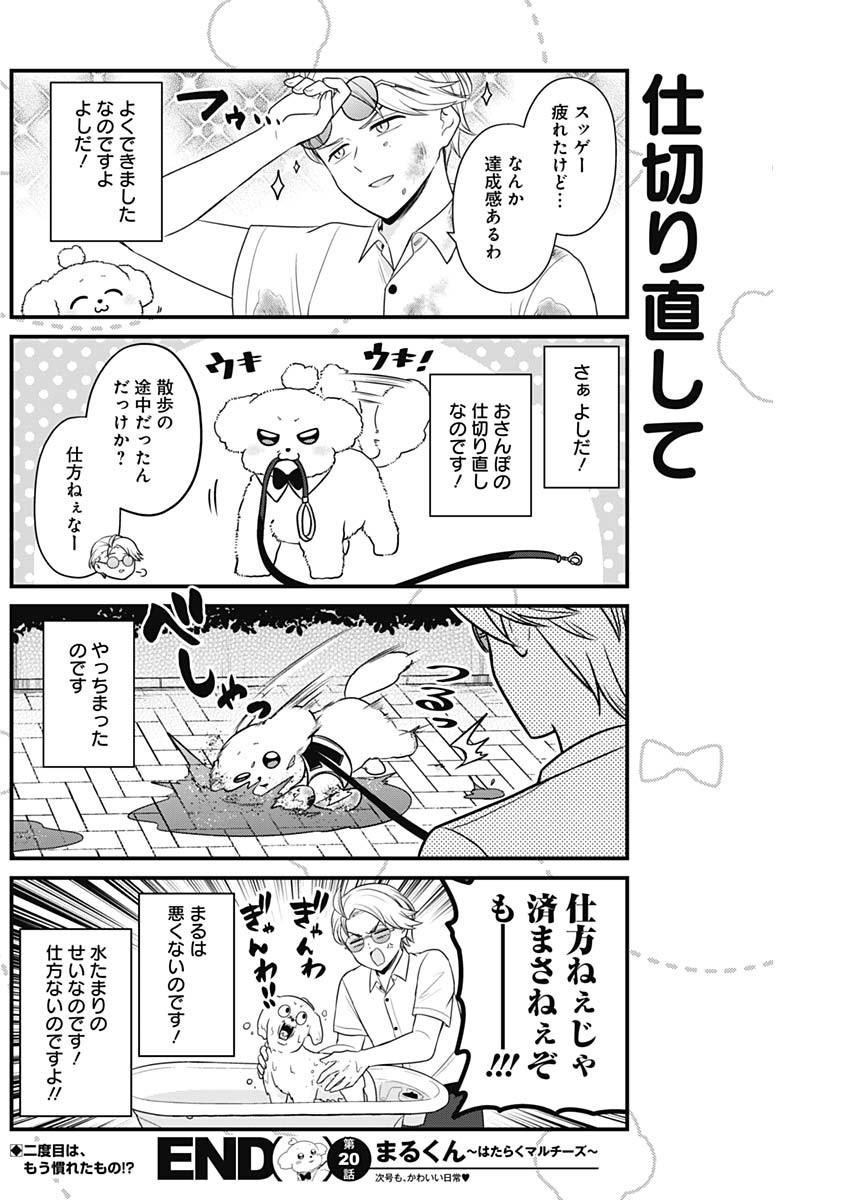 まるくん～はたらくマルチーズ～ 第20話 - Page 8