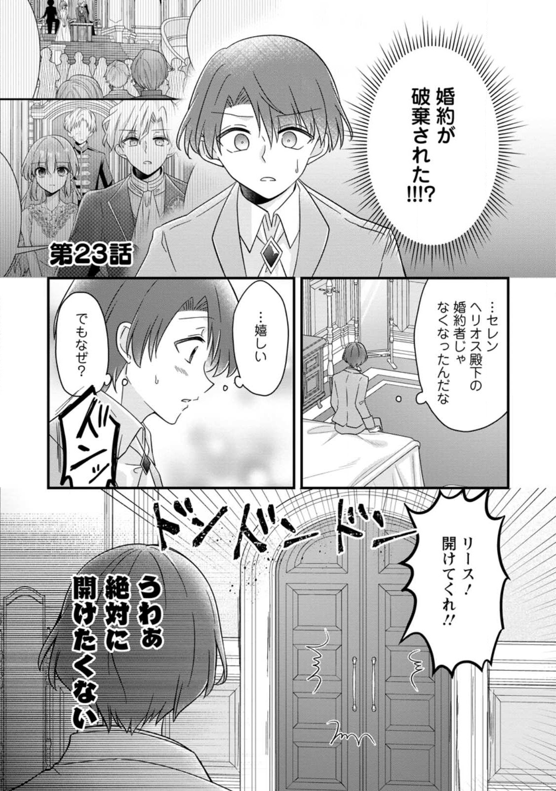 地味姫と黒猫の、円満な婚約破棄 第23.1話 - Page 1