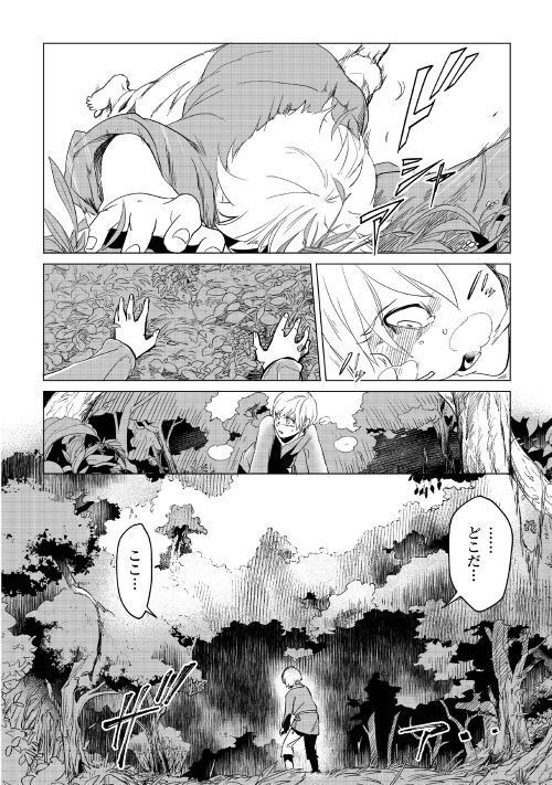 もふもふと異世界でスローライフを目指します！ 第1話 - Page 11