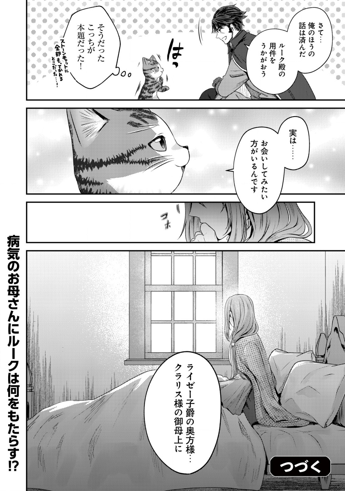 我輩は猫魔導師である～キジトラ・ルークの快適チート猫生活～ 第14.2話 - Page 13