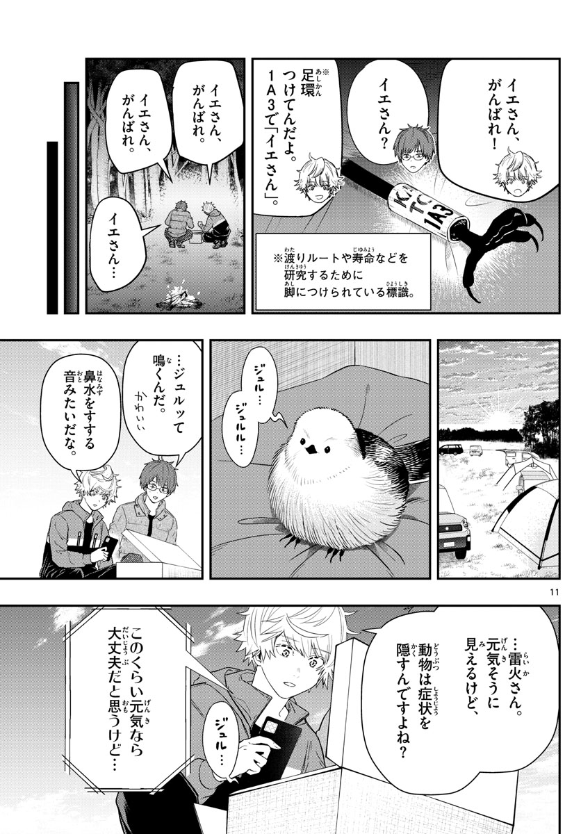 ラストカルテ-法獣医学者 当麻健匠の記憶- 第55話 - Page 11