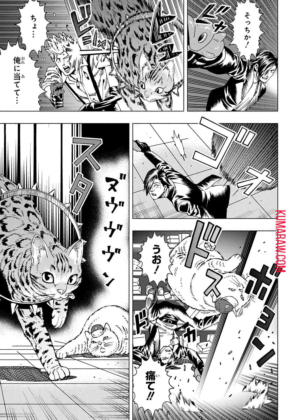 ニャイト・オブ・ザ・リビングキャット 第11.2話 - Page 3