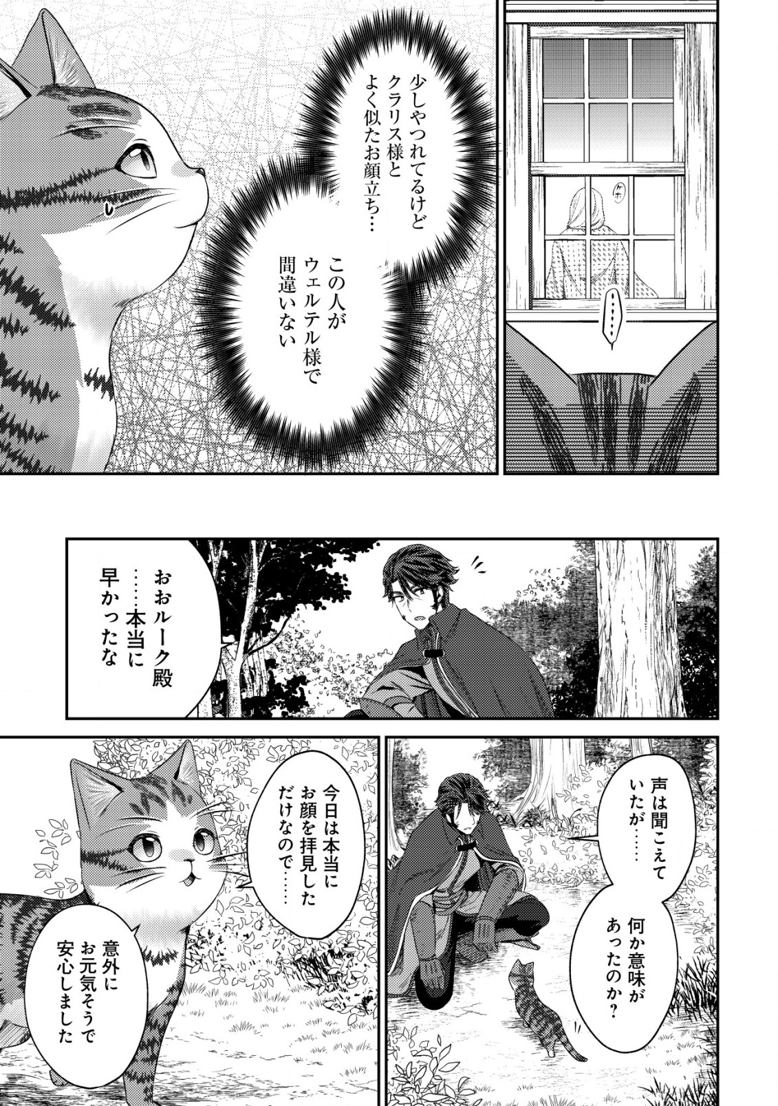 我輩は猫魔導師である～キジトラ・ルークの快適チート猫生活～ 第15話 - Page 21