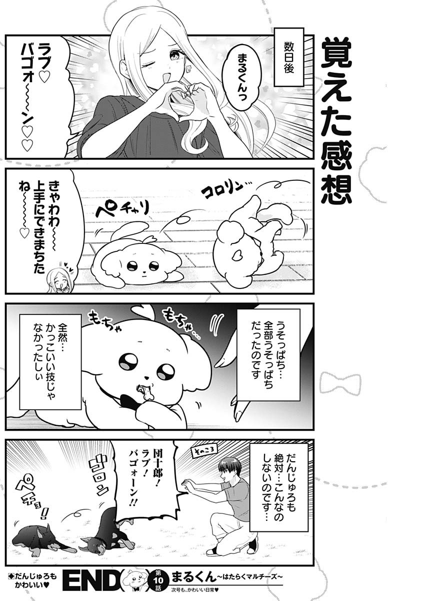 まるくん～はたらくマルチーズ～ 第10話 - Page 8