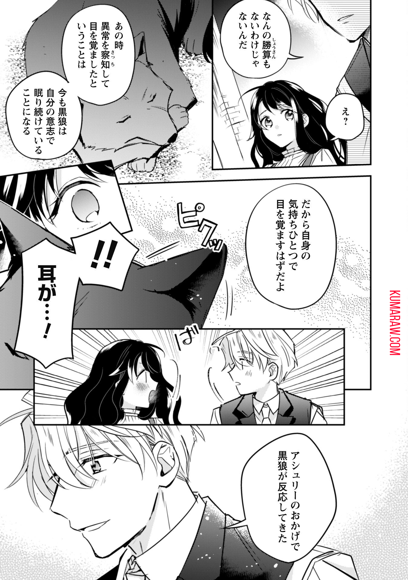 王弟殿下のお気に入り 転生しても天敵から逃げられないようです!? 第10話 - Page 17