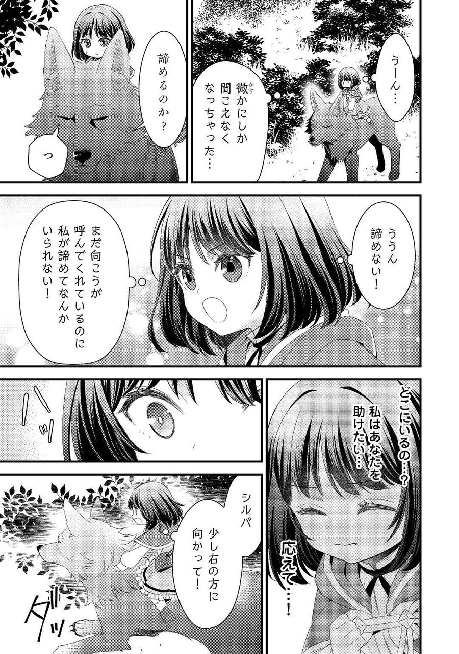 ほっといて下さい　―従魔とチートライフ楽しみたい！― 第9話 - Page 17