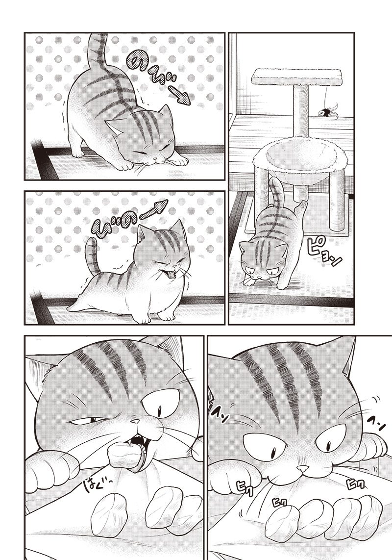 猫が如く 第1話 - Page 8