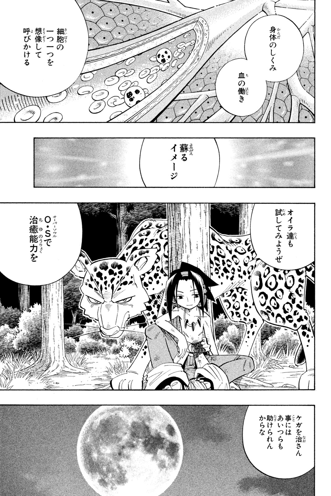 シャーマンキングザスーパースター 第195話 - Page 15