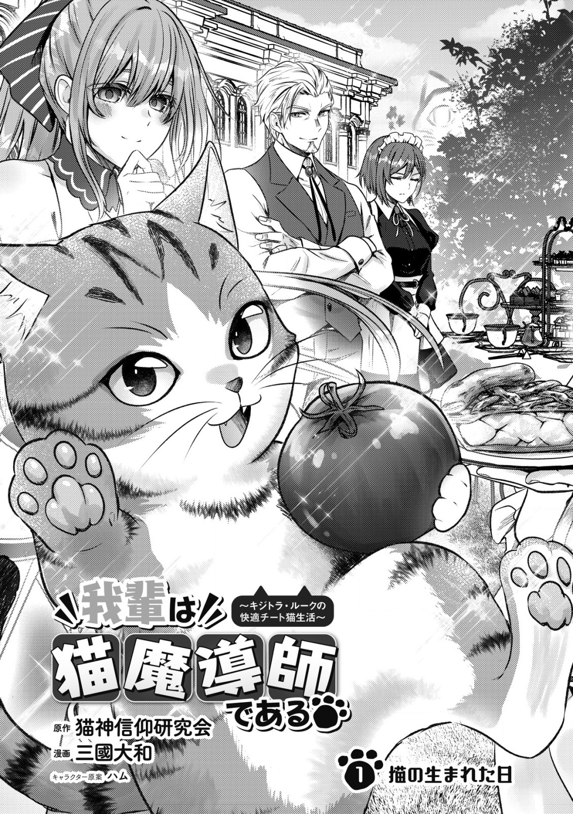 我輩は猫魔導師である～キジトラ・ルークの快適チート猫生活～ 第1話 - Page 3