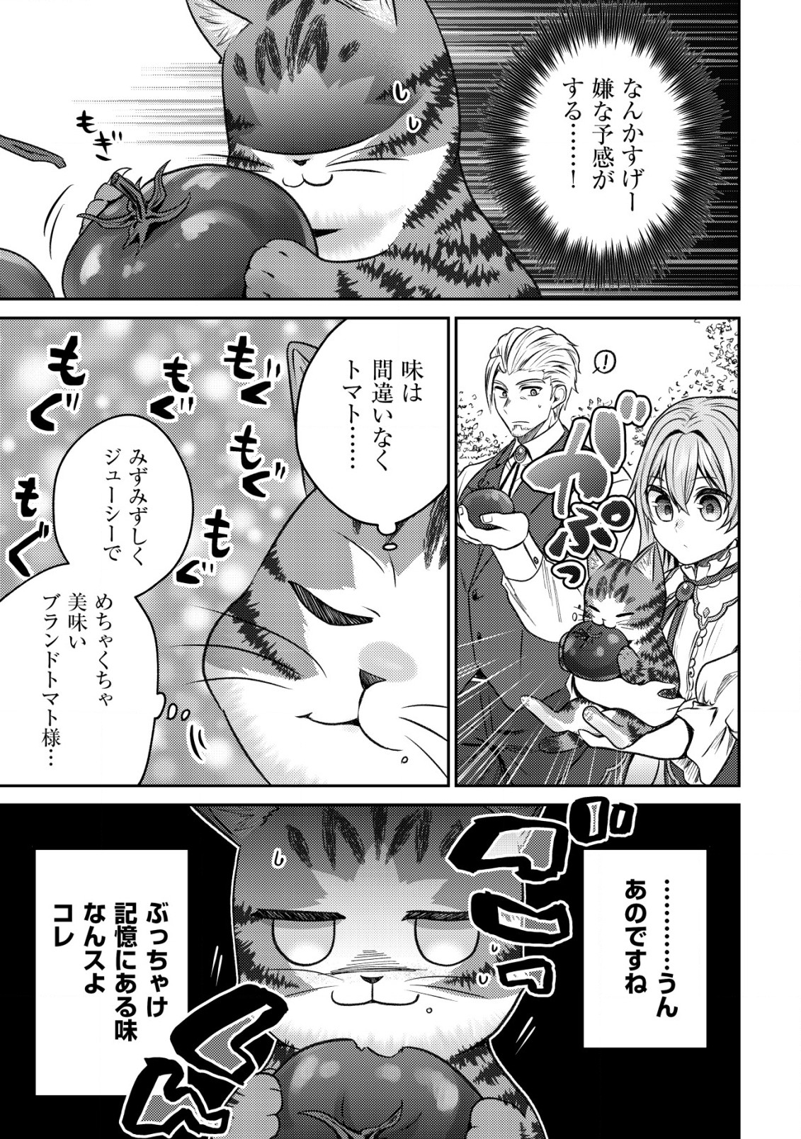 我輩は猫魔導師である～キジトラ・ルークの快適チート猫生活～ 第4話 - Page 7