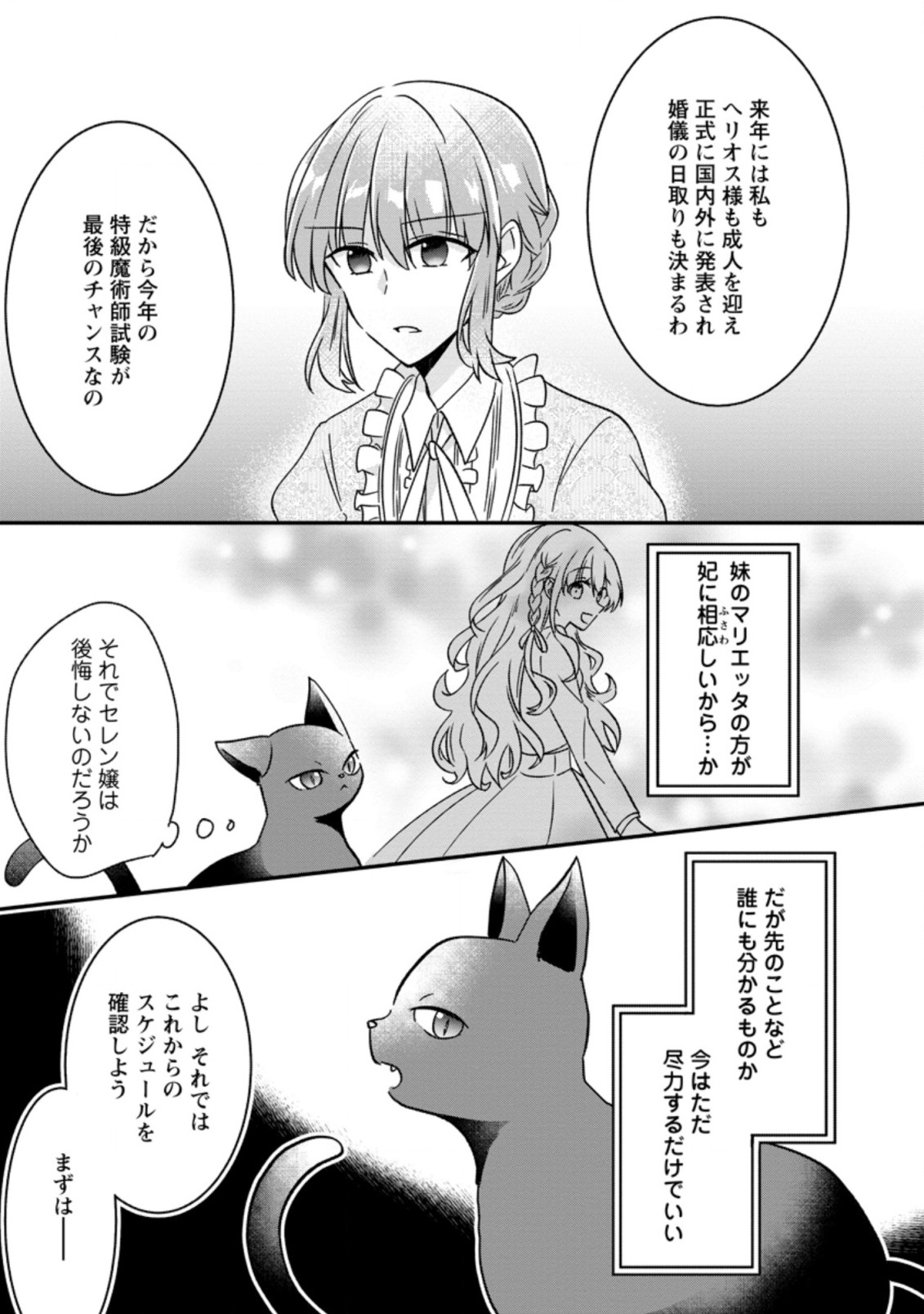 地味姫と黒猫の、円満な婚約破棄 第2.2話 - Page 5