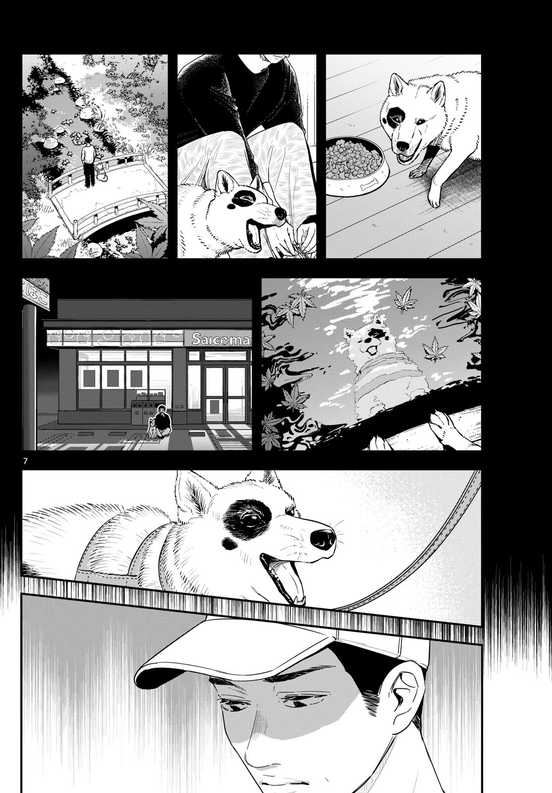 ラストカルテ-法獣医学者 当麻健匠の記憶- 第79話 - Page 7