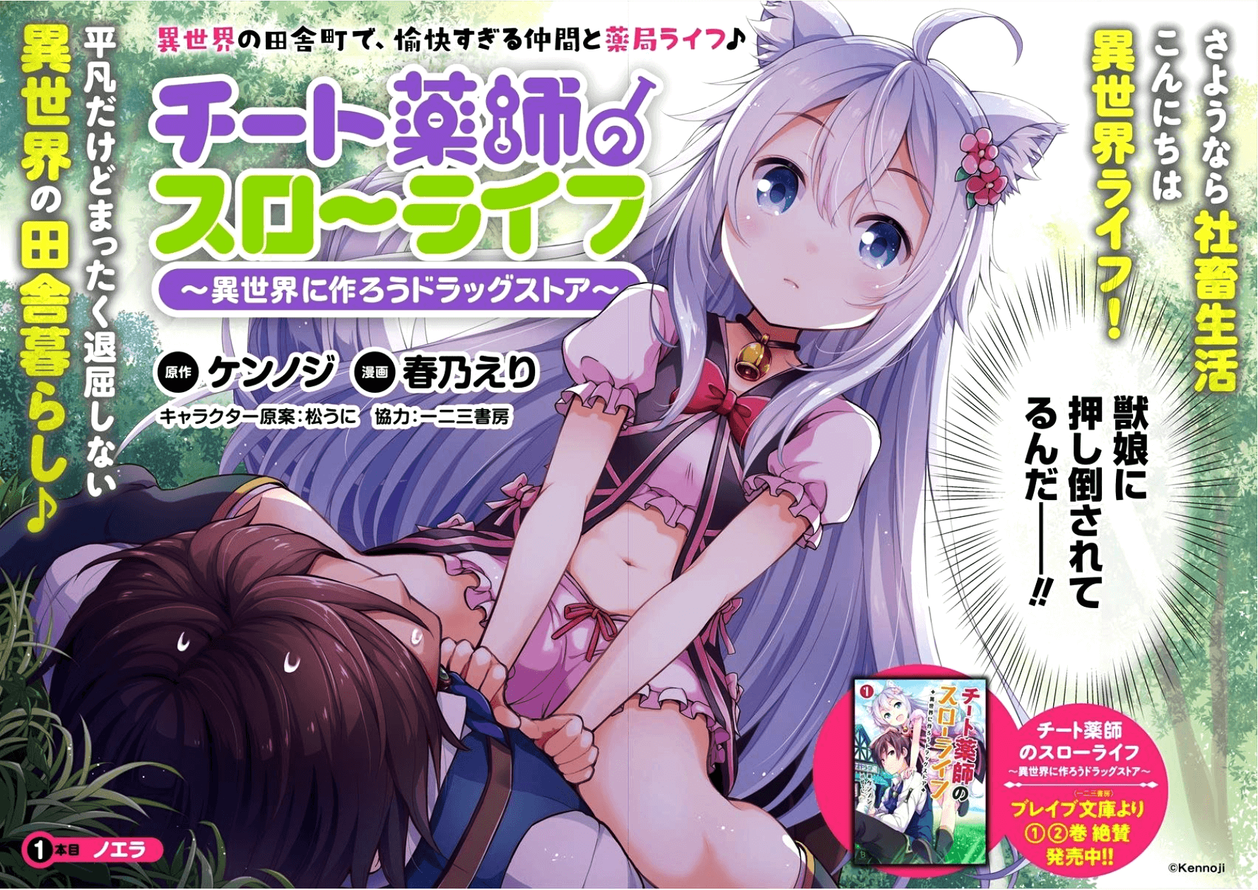 チート薬師のスローライフ 異世界に作ろうドラッグストア 第1話 - Page 2