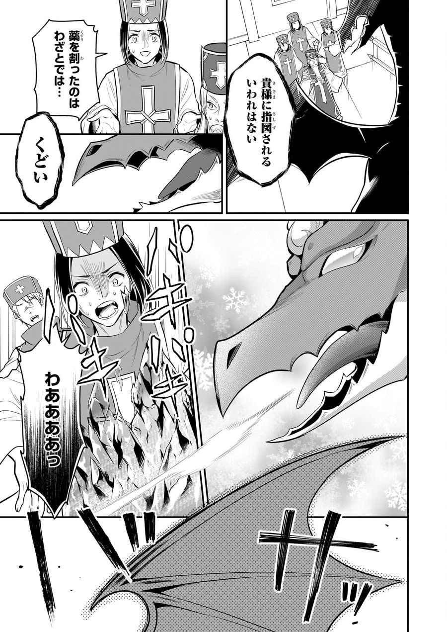 草魔法師クロエの二度目の人生 自由になって子ドラゴンとレベルMAX薬師ライフ 第11話 - Page 3