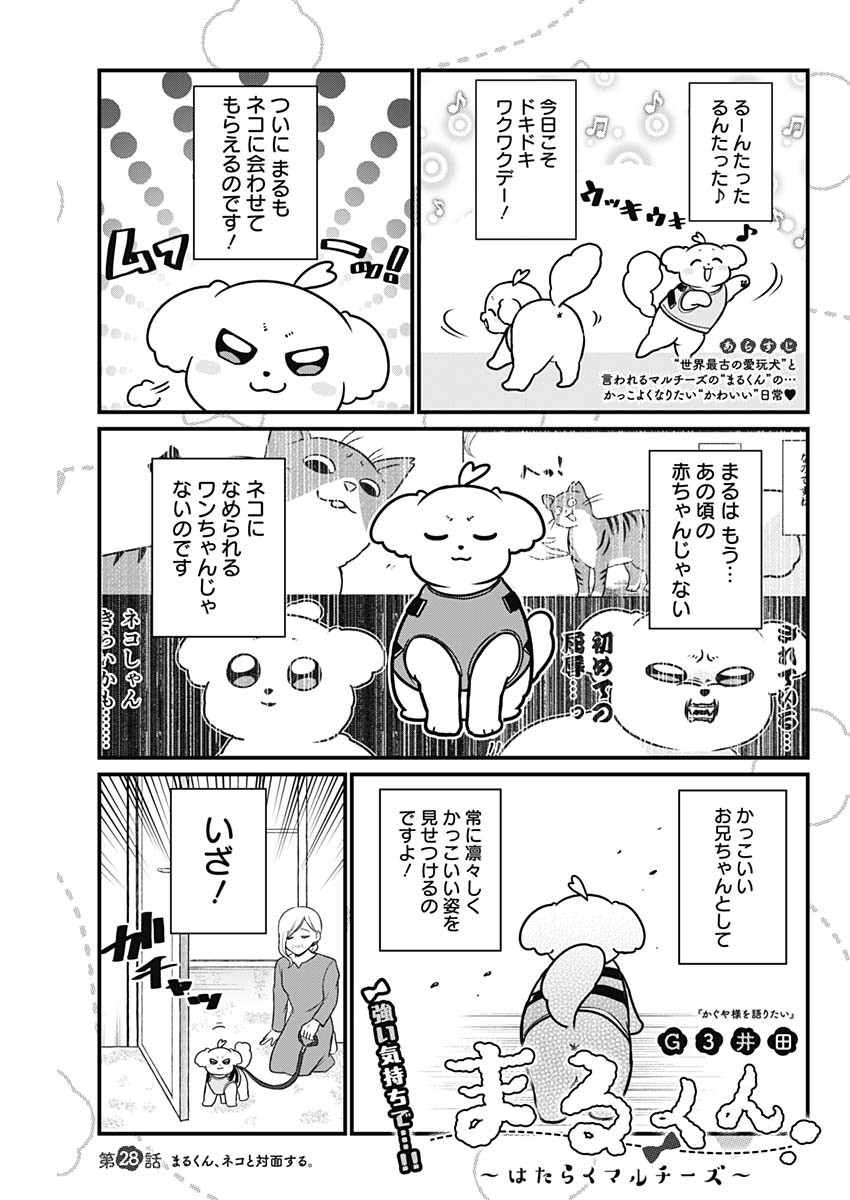 まるくん～はたらくマルチーズ～ 第28話 - Page 1