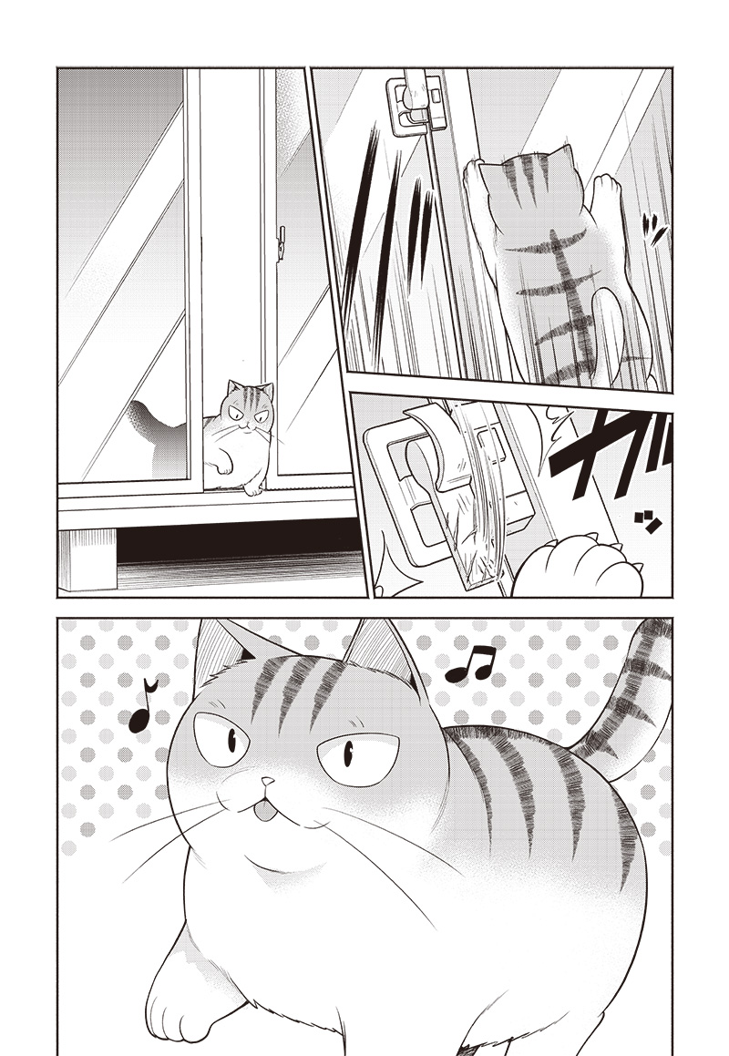 猫が如く 第21話 - Page 2