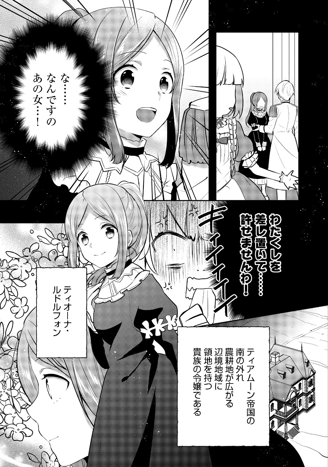 ティアムーン帝国物語 ～断頭台から始まる、姫の転生逆転ストーリー～ 第5.1話 - Page 5