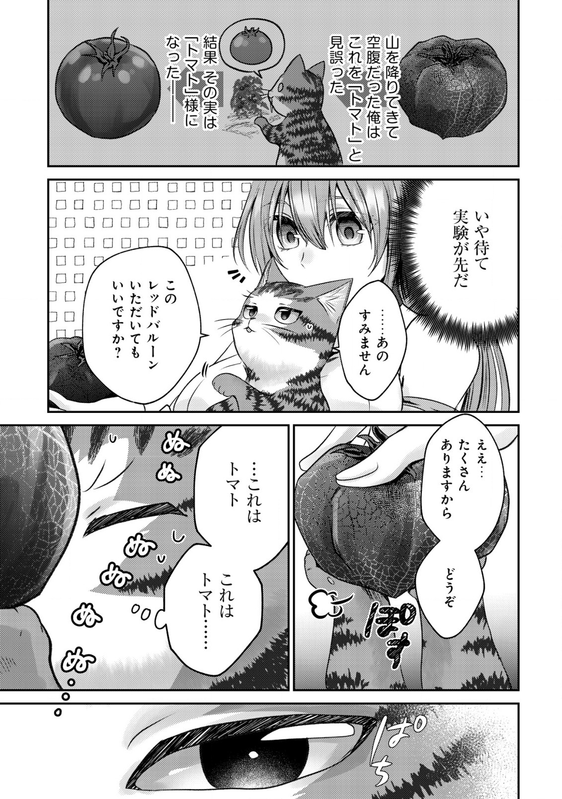 我輩は猫魔導師である～キジトラ・ルークの快適チート猫生活～ 第4話 - Page 29