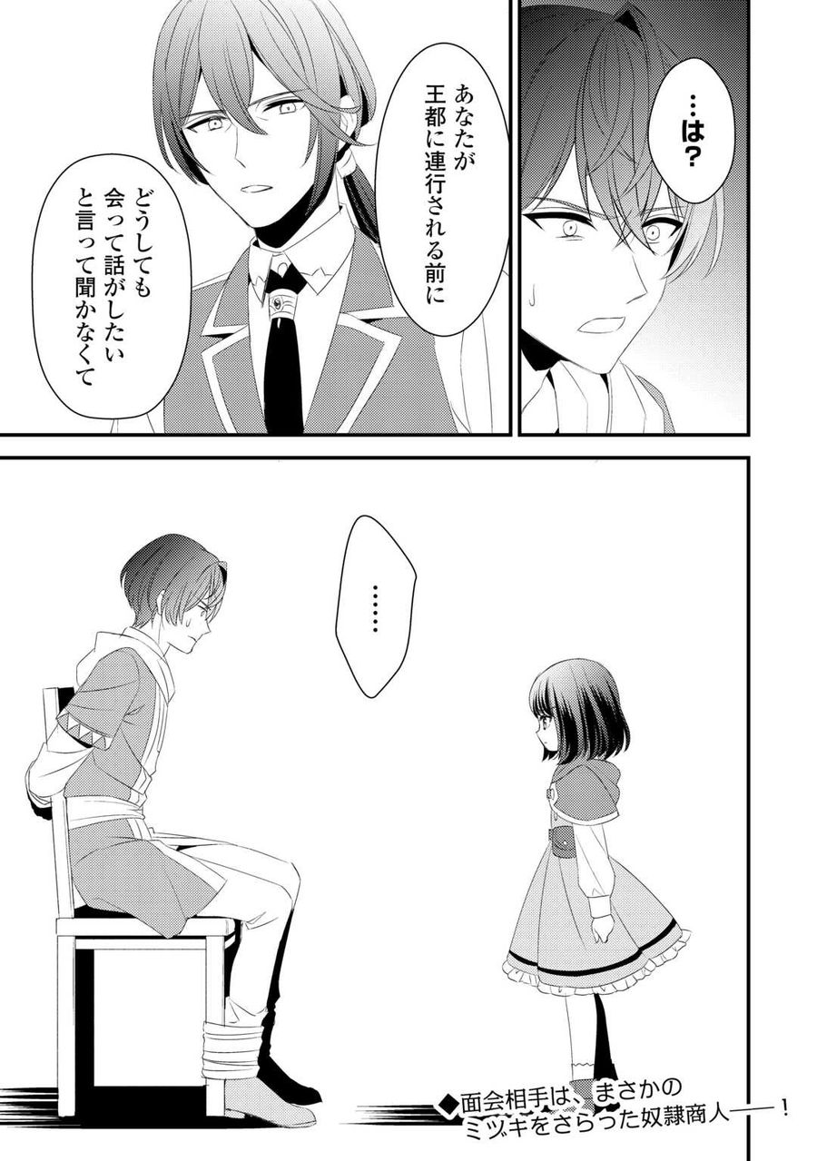 ほっといて下さい　―従魔とチートライフ楽しみたい！― 第23話 - Page 17