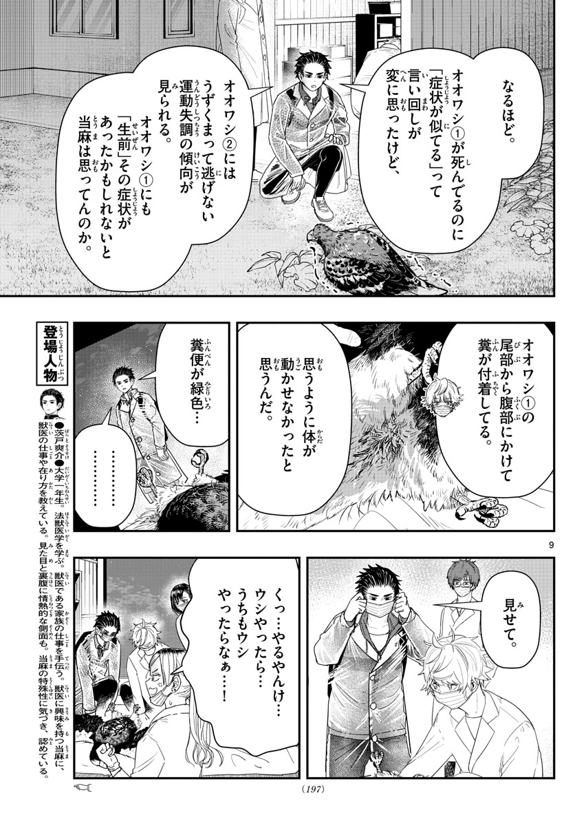 ラストカルテ-法獣医学者 当麻健匠の記憶- 第41話 - Page 9