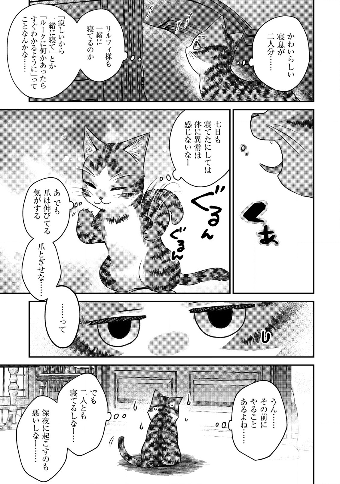 我輩は猫魔導師である～キジトラ・ルークの快適チート猫生活～ 第10.2話 - Page 12