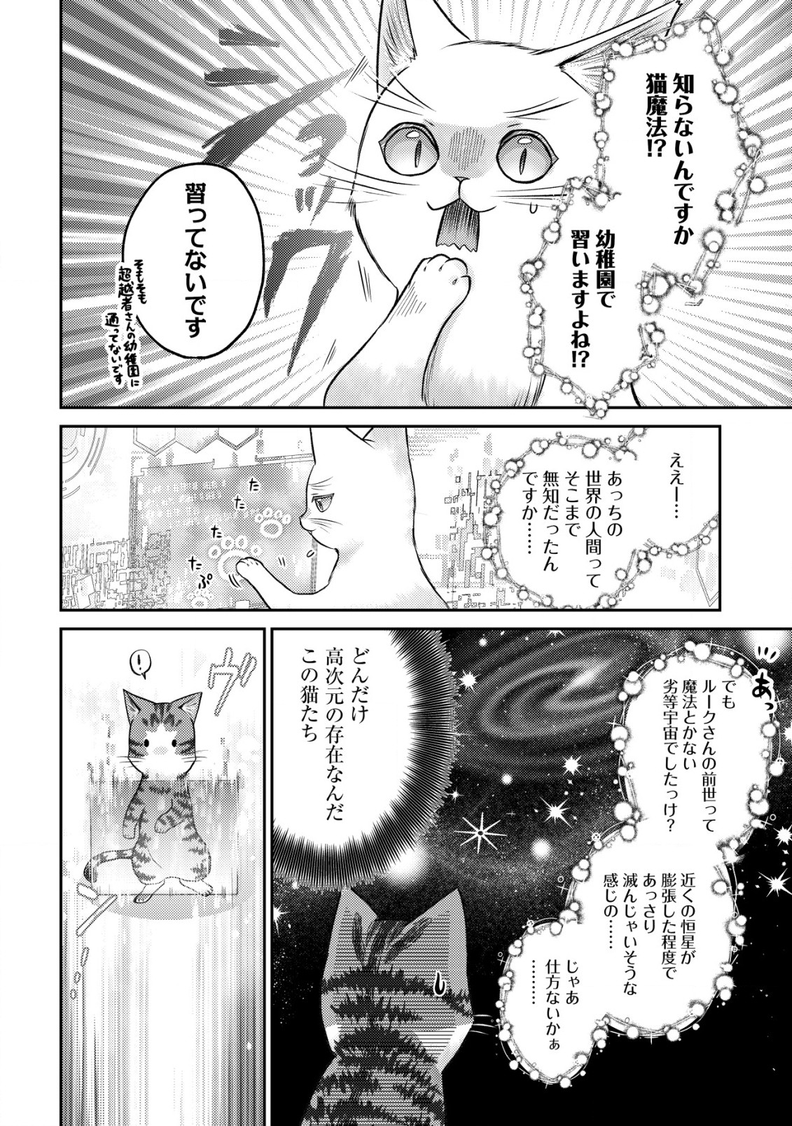 我輩は猫魔導師である～キジトラ・ルークの快適チート猫生活～ 第10.2話 - Page 5