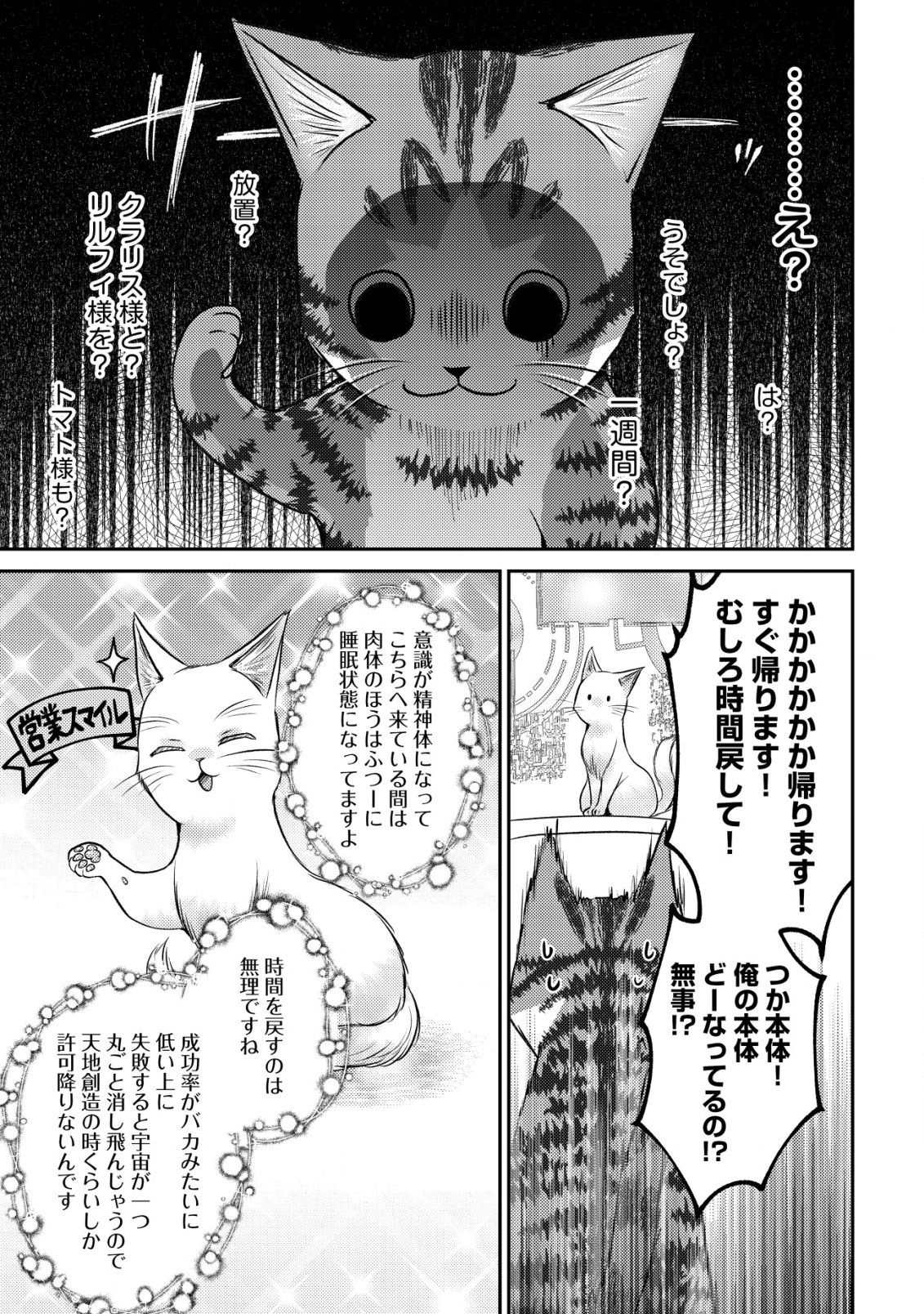 我輩は猫魔導師である～キジトラ・ルークの快適チート猫生活～ 第10.2話 - Page 8