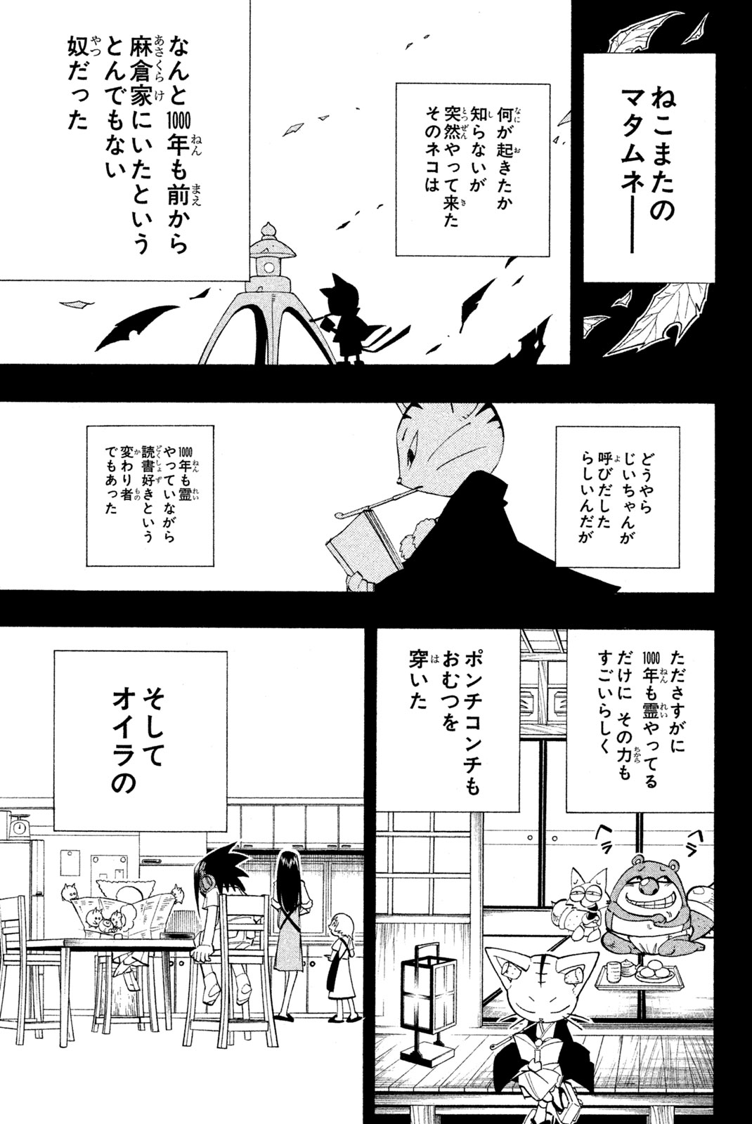 シャーマンキングザスーパースター 第163話 - Page 13