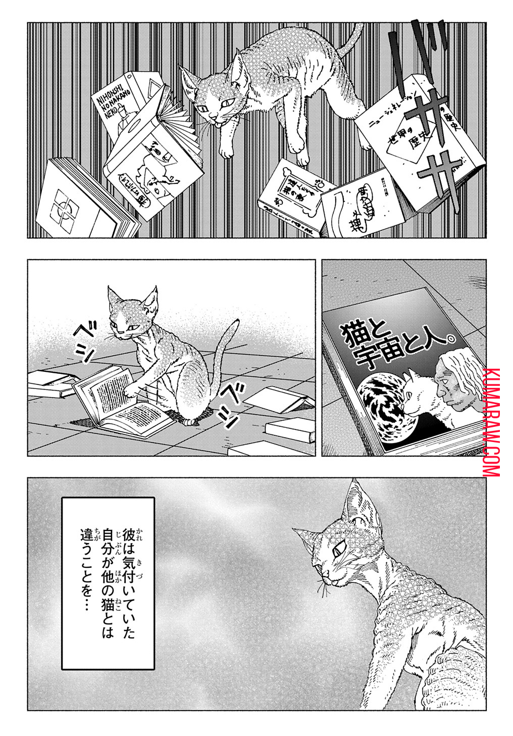 ニャイト・オブ・ザ・リビングキャット 第9.1話 - Page 7