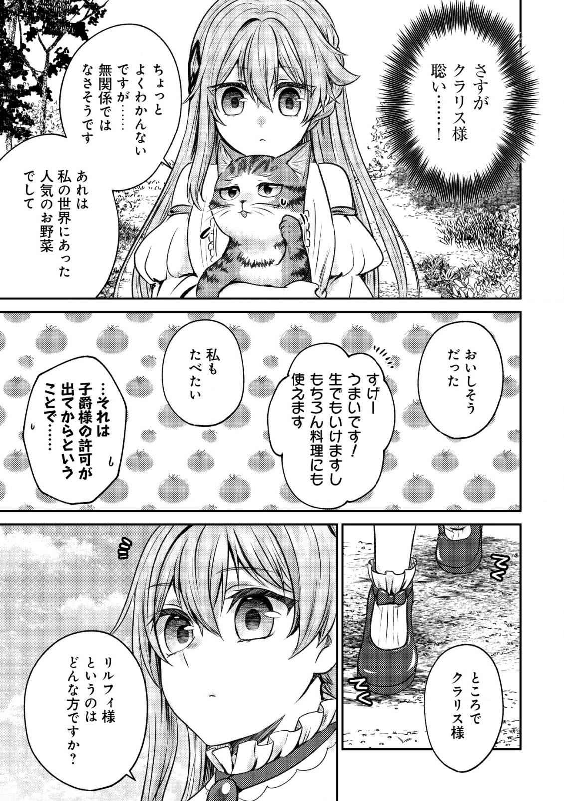 我輩は猫魔導師である～キジトラ・ルークの快適チート猫生活～ 第4話 - Page 11