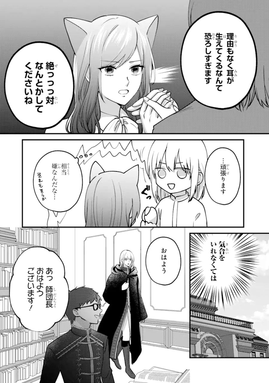 魔術師団長の契約結婚 第8.1話 - Page 10